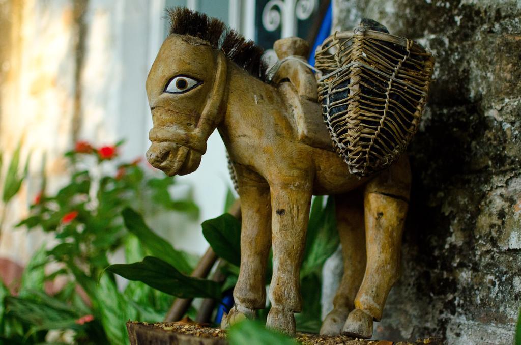 Casa Tukari Colonial House Hotel Puerto Vallarta Dış mekan fotoğraf