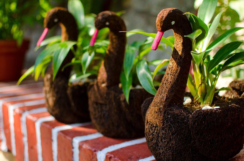 Casa Tukari Colonial House Hotel Puerto Vallarta Dış mekan fotoğraf
