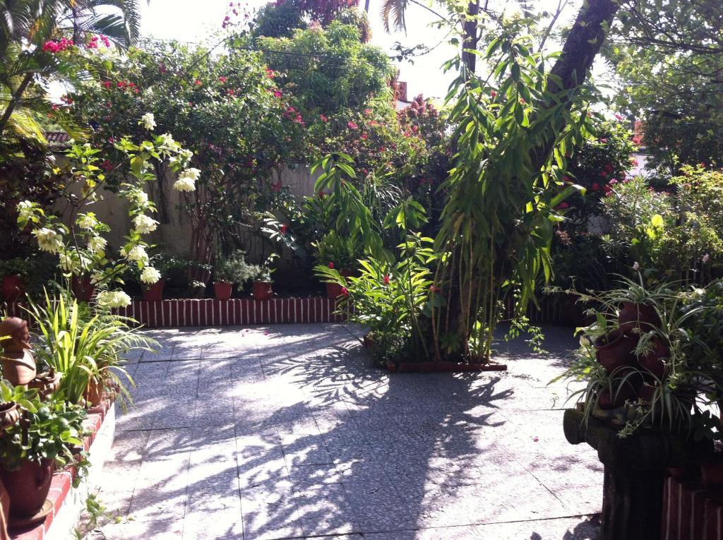 Casa Tukari Colonial House Hotel Puerto Vallarta Dış mekan fotoğraf