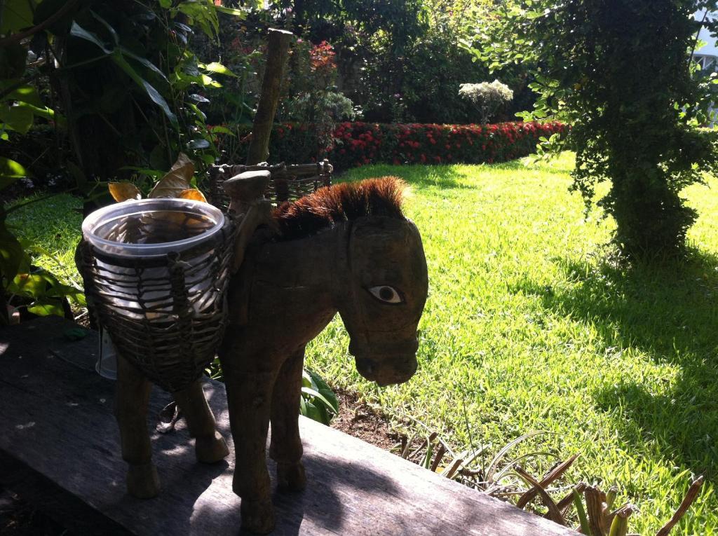 Casa Tukari Colonial House Hotel Puerto Vallarta Dış mekan fotoğraf