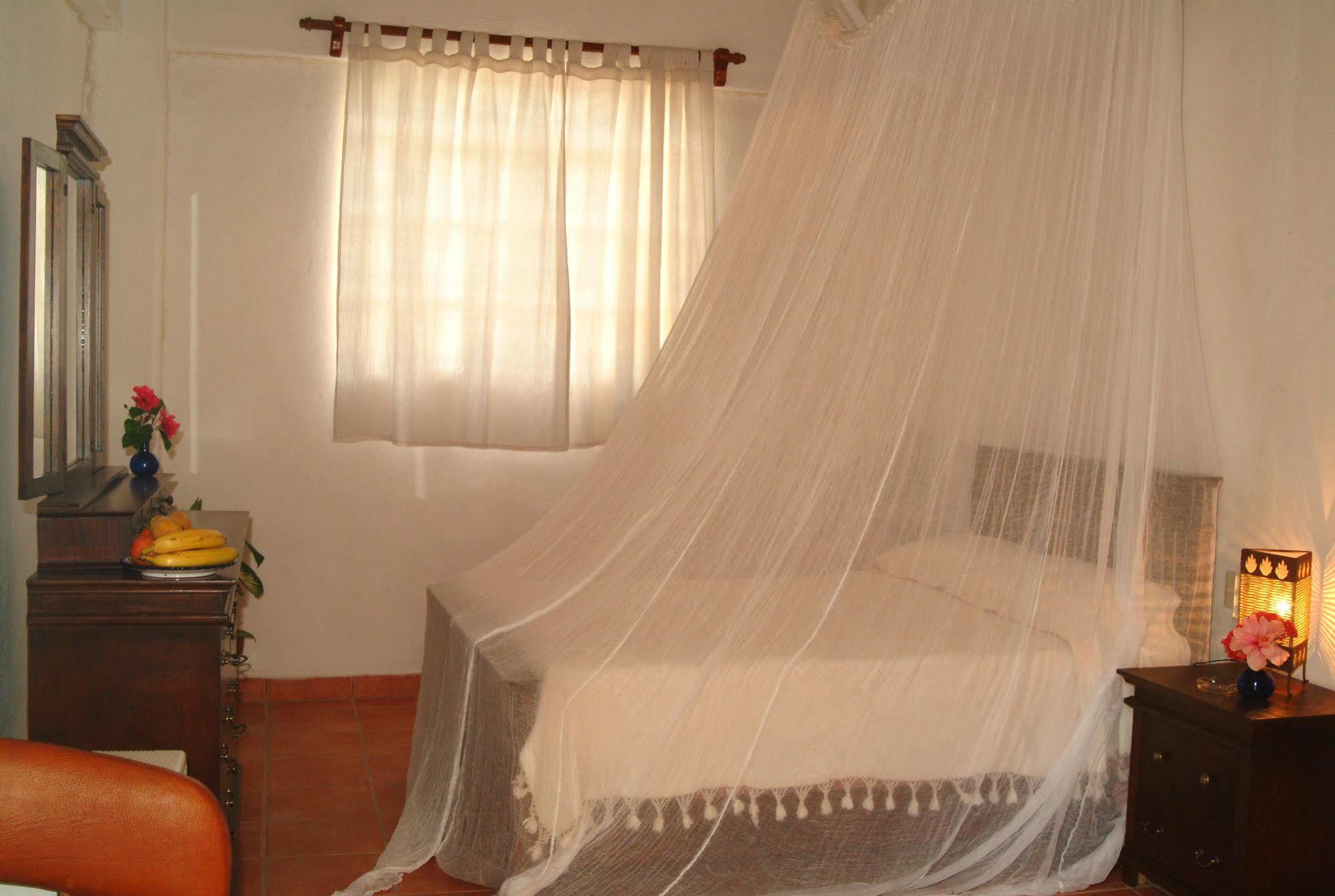 Casa Tukari Colonial House Hotel Puerto Vallarta Dış mekan fotoğraf